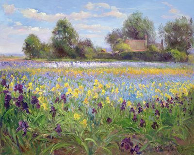 Farmstead and Iris Field by Timothy Easton